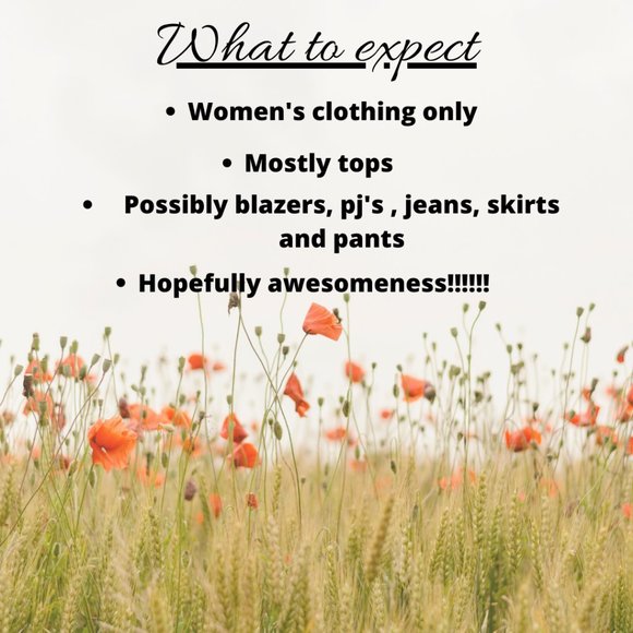 Reseller Mystery Boxes 5 lbs XS - XL - Picture 6 of 10